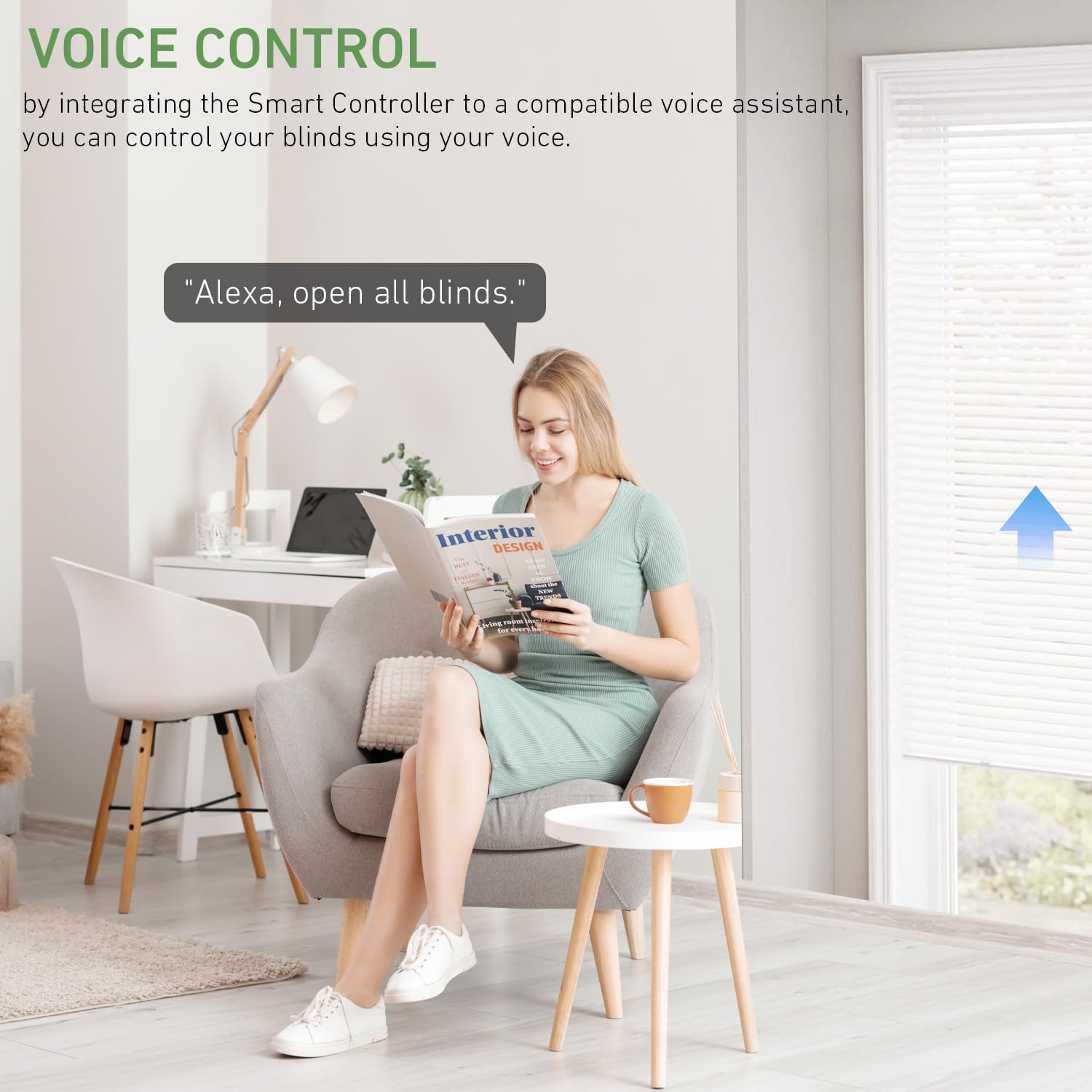 Rollerhouses 25TEW Main Power Voltage Blinds Motor with Tuya WiFi Smart Plug - Voice Control, App Remote Control, Timer Function, Compatible with Alexa & Google Assistant