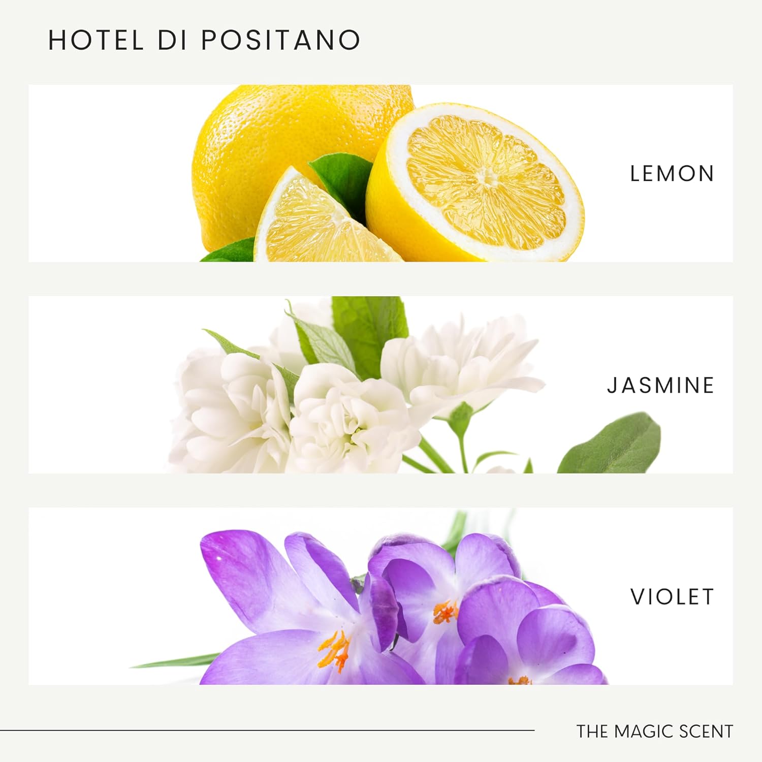 The Magic Scent Hotel Di Positano Hotel Scent Diffuser Oil - Cold-Air & Ultrasonic Fragrance Oil for Diffuser Inspired by Amalfi Coast, Italy - Essential Oils for Diffusers Aromatherapy (500 ml)