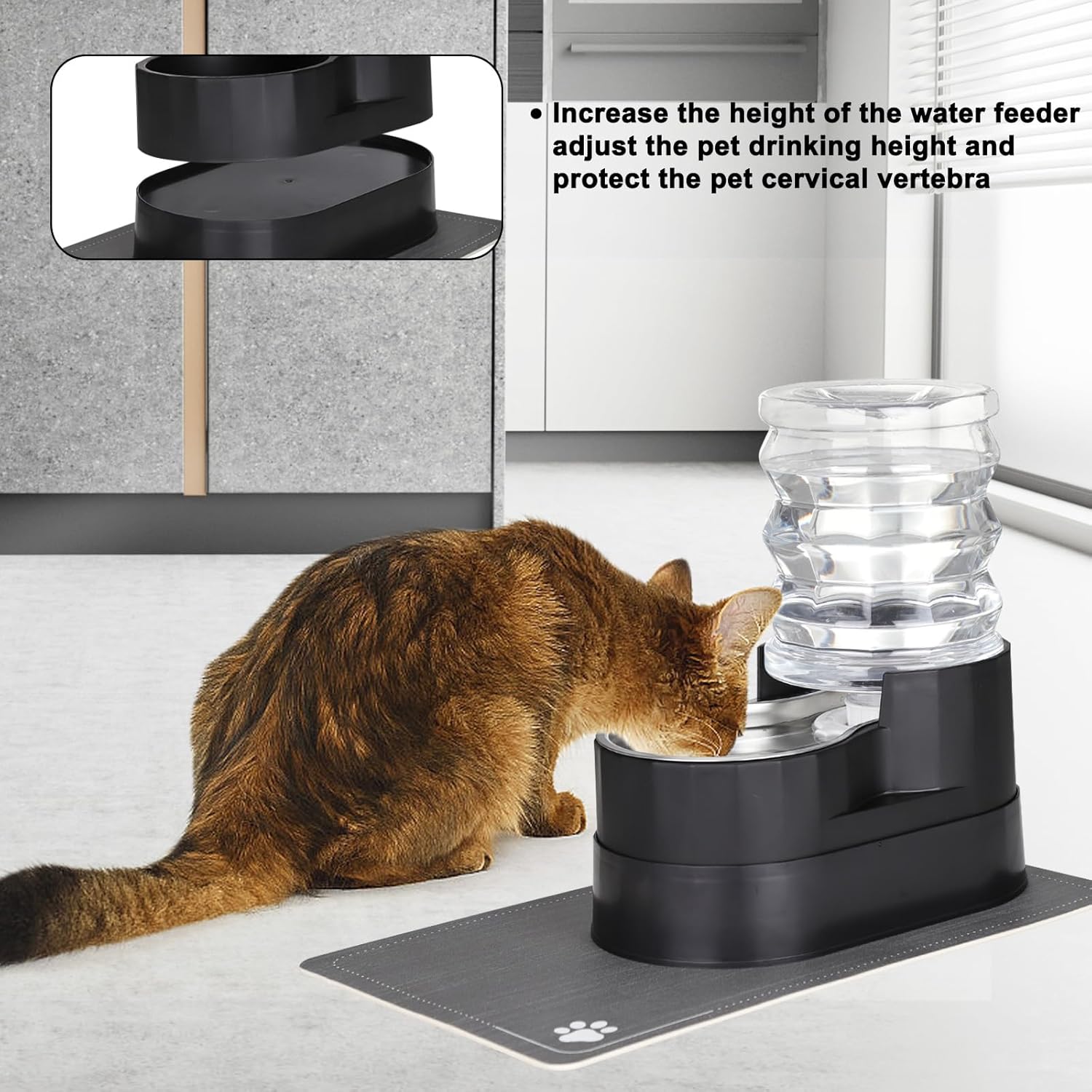 RIZZARI Automatic Cat Water Dispenser: Black 5L Elevated Feeder with Specialized Brush and Triple Filtration - Stainless Steel Gravity Bowl - Leakproof Base for Indoor Pets
