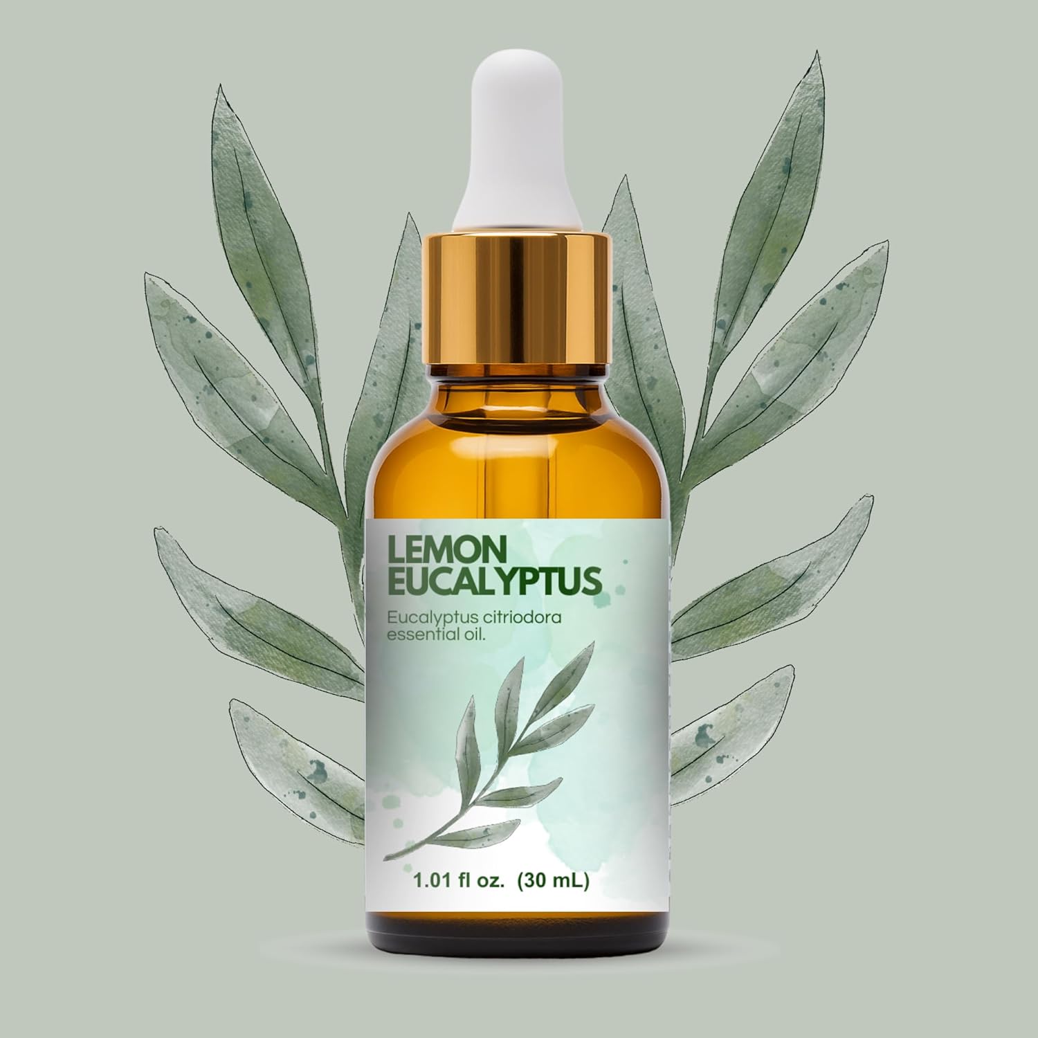 Lemon Eucalyptus Essential Oil (Corymbia Citriodora) – 100% Pure & Undiluted Citrus Aroma for Diffusers, Massage (Dilute) & DIY | Essential Oils for Humidifiers (Pack of 6 × 1.0 fl oz Each)