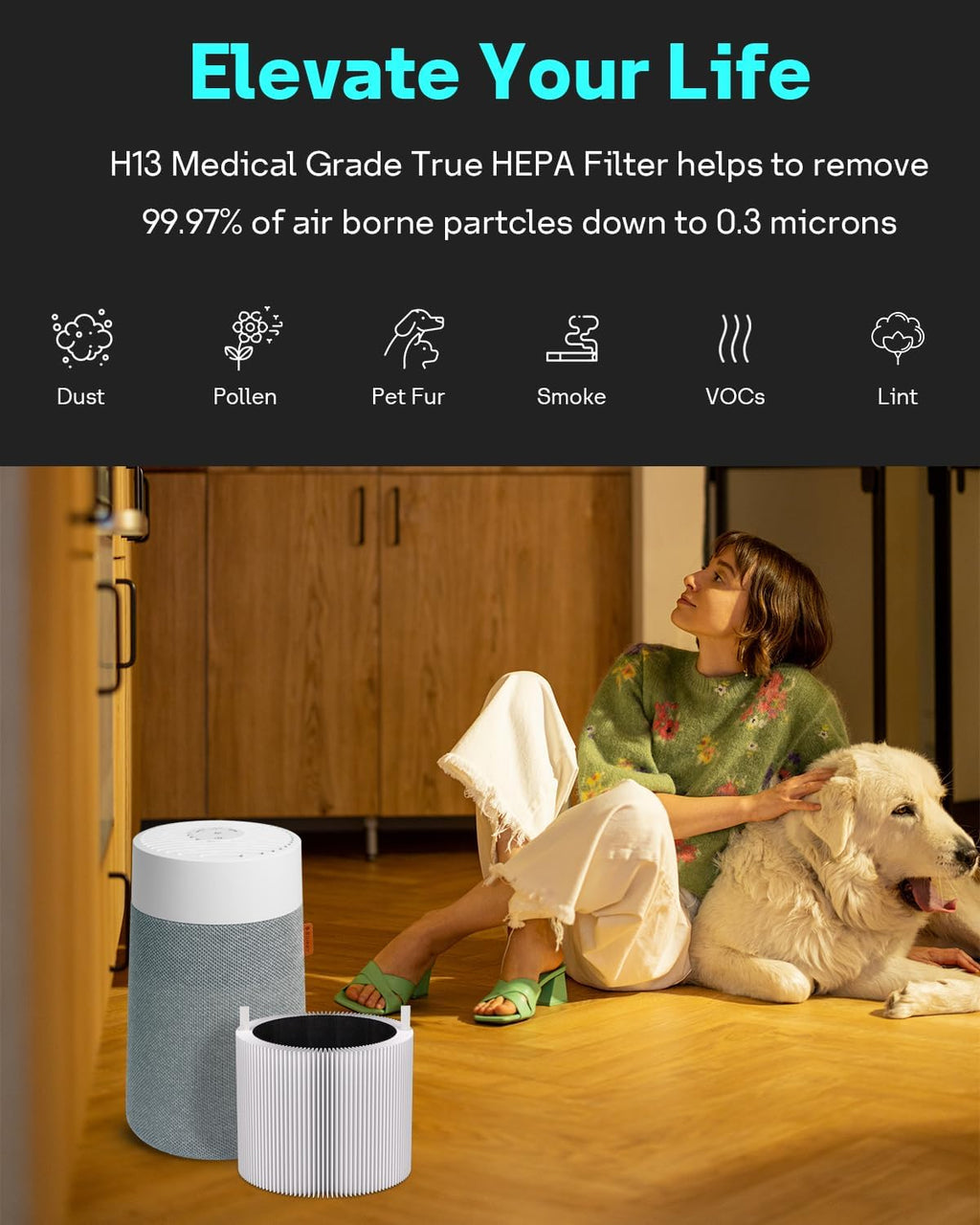 Leemone 2 Pack Blue Pure Mini Max Replacement Filter Compatible with Blueair Blue Pure Mini Max Air Purifiers, Activated Carbon FMINI filter