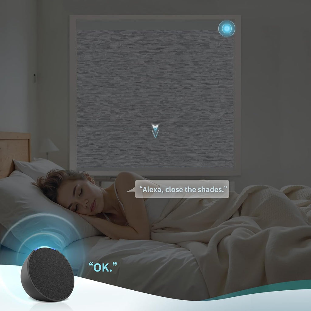 Motorized Blinds with Remote Custom Size Blackout Smart Roller Shades Compatible with Alexa Google, Electric Blinds for Windows
