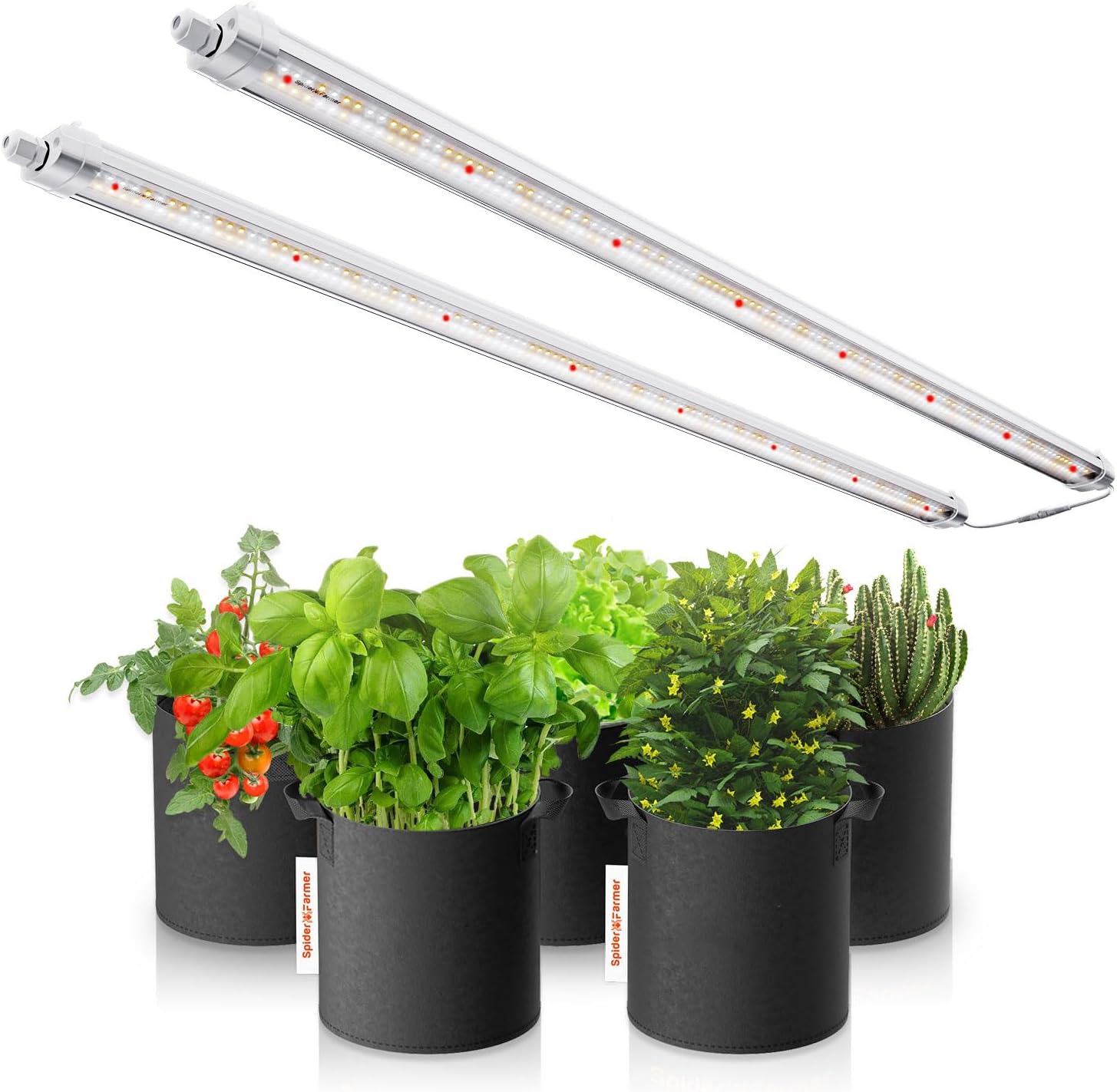 Spider Farmer Glow80 LED Grow Lights, 3.6ft Sunlike Full Spectrum Waterproof Plant Growing Lamp Linkable for Indoor Plant Shelves Seedling Veg Flower Hydroponic Greenhouse