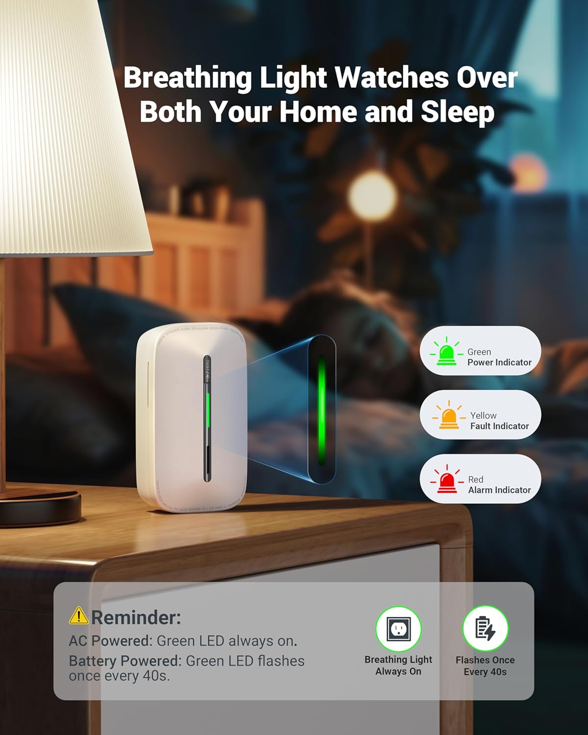 Ecoey Carbon Monoxide Detectors Plug-in with Advanced Electrochemical Sensor 10 Year Carbon Monoxide Detector Foldable Plug with Battery Backup CO Detector for Home and Kitchen FJ146A, 2Packs
