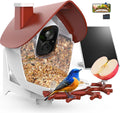 birdsnap® P33 - Smart Bird Feeder with Camera Solar Powered, 2K Video Bird Camera Feeder Live with 32GB Card, AI Identify Feather Species, Auto Record in Backyard, Ideal Gift for Birds Lover