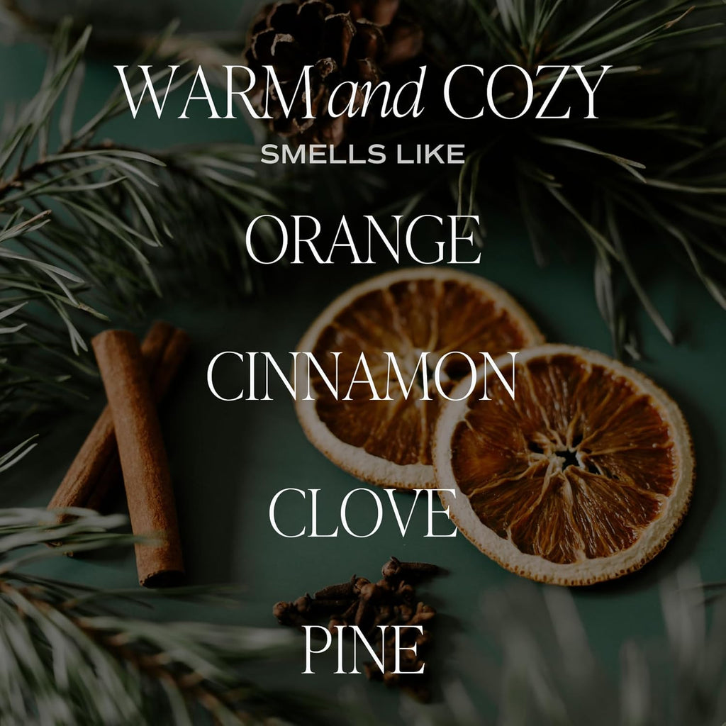Sweet Water Decor Warm and Cozy Reed Diffuser Set - Orange, Cinnamon, Clove, and Pine Fall and Winter Scented Diffuser - Scent Diffusers for Home, Long Lasting Fragrance, Made in The USA