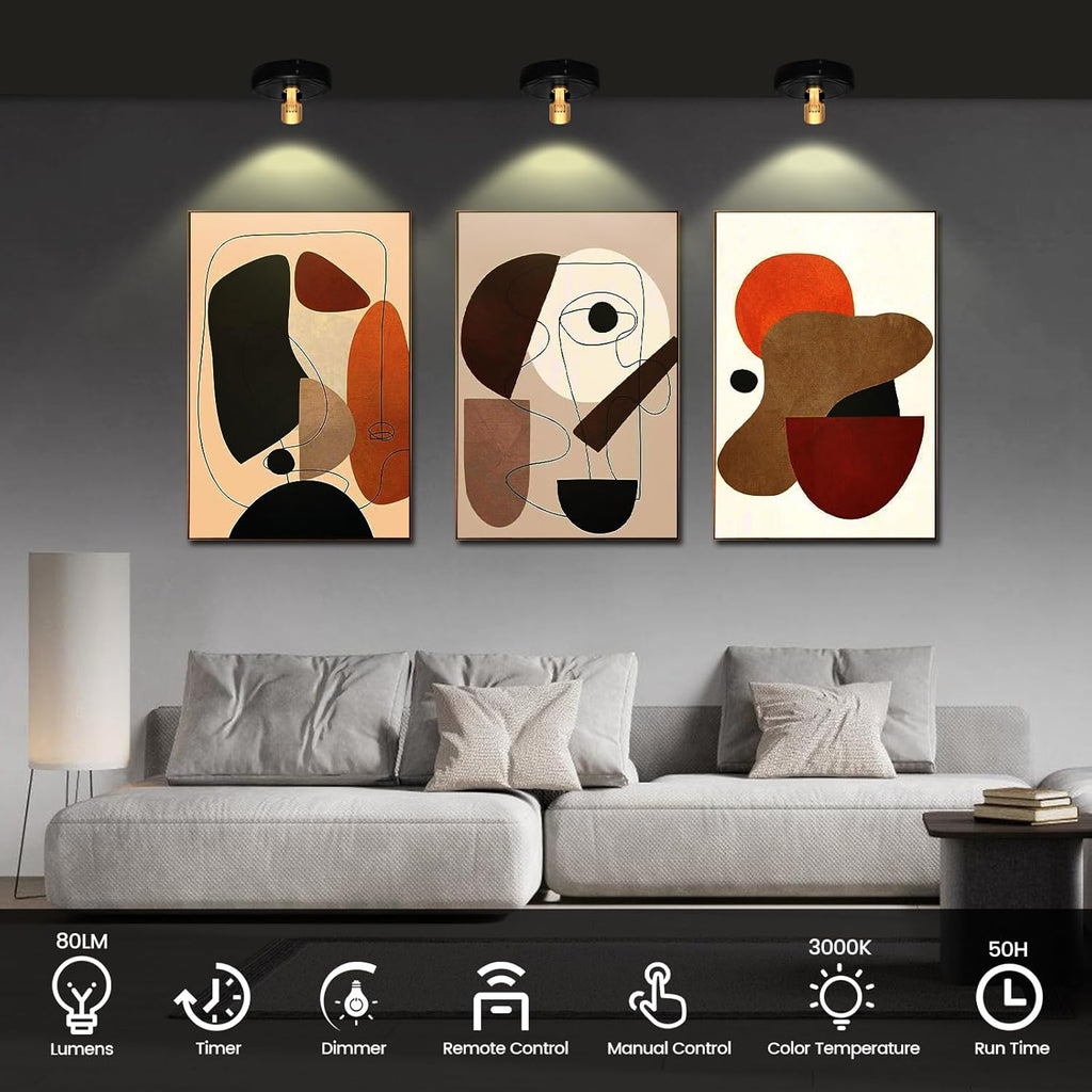 Wireless Spotlight Battery Operated, LED Picture Light, Accent Spot Light for Indoor Plant Tree, Puck Lights with Remote and Timer, Stick Display Uplighting for Painting Dartboard Wall Decor Art Photo