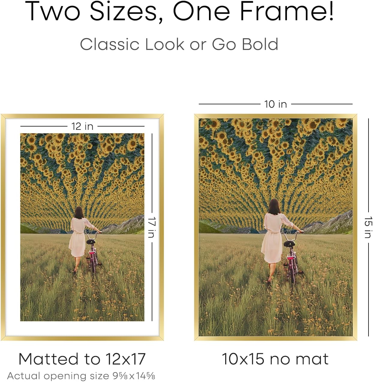 Homeforia 12x17 Picture Frame Gold, High End Metal 12x17 Poster Frames with Mat 10x15 Photo, 12 x 17 Gold Frame Matted to 10 by 15 Print, 17by12 Thin Hanging Frames, Tempered Glass, Wall Kit, Set of 2