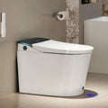 CANEST Smart Toilet with Bidet Built in, Foam Dispenser, 1000g MaP Flushing, Full-Area Seat Sensor, Auto Temperature Control Heated Seat, Auto Open/Close, Foot Sensor, Deodorization, Remote(FC-002SE)