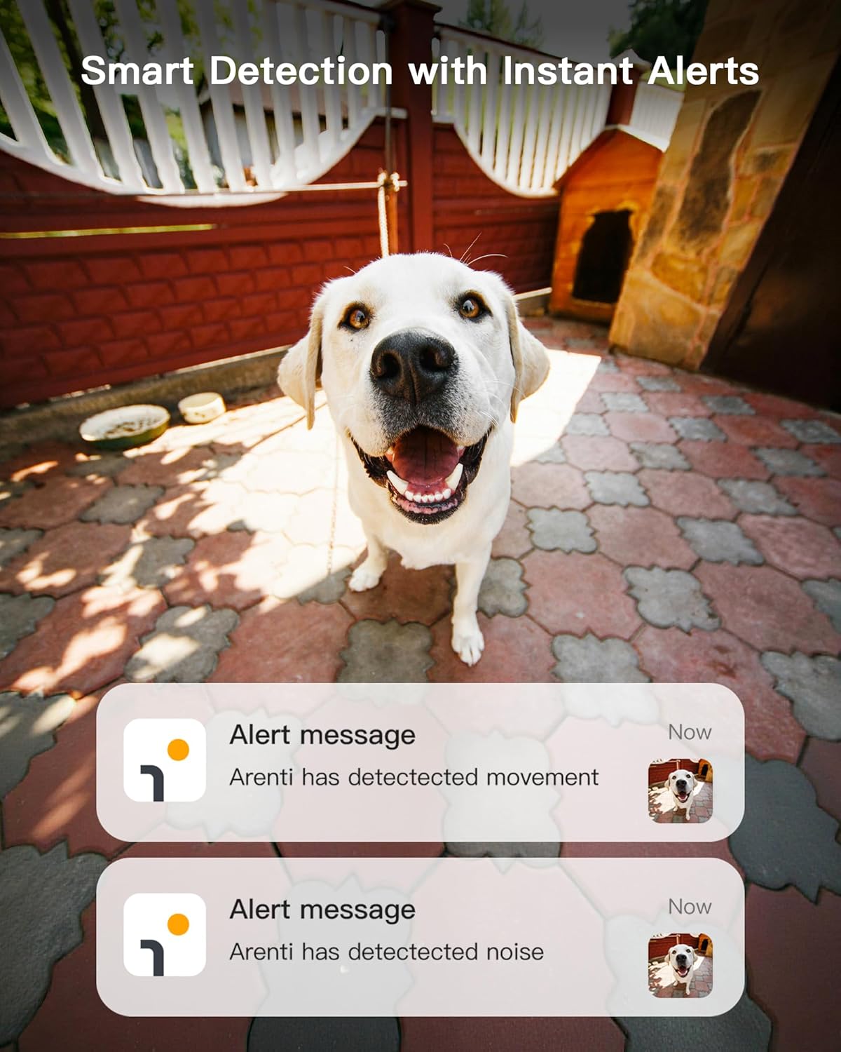 ARENTI 5G Indoor Security Camera 2 Pack, 4MP Pet Camera with Speaker for Dog/Cat, Baby Monitor with Phone App, Dual-Band WiFi, Auto Tracking, Super Night Vision, 64G Local Storage (P2Q 64G 2PC)