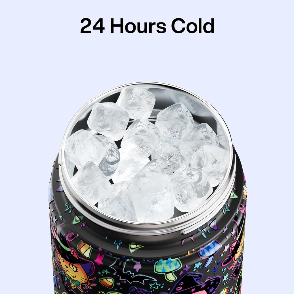 ENCOOL Insulated Water Bottle with Straw Stainless Steel Water Bottle, Leak-Proof, BPA-Free, Double Wall Vacuum Keeps Cold for 24 Hours for Sports, Travel, School (26 oz, Meowgic Night)