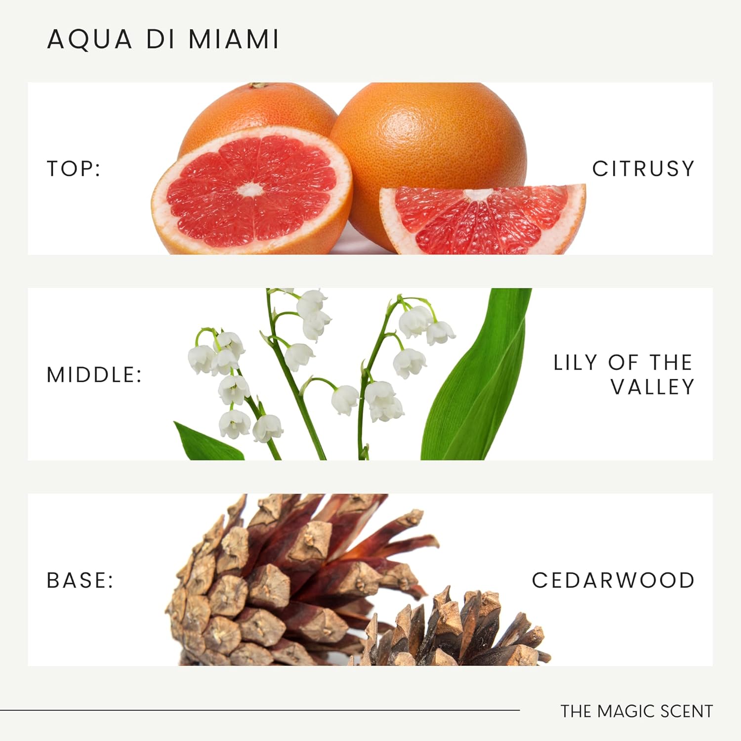 The Magic Scent Aqua di Miami Diffuser Oil - Hotel & Home Luxury Scents - Diffuser Oil Scents for Home Designed for Use in All Diffusers - 16.9 fl oz, 500 mL