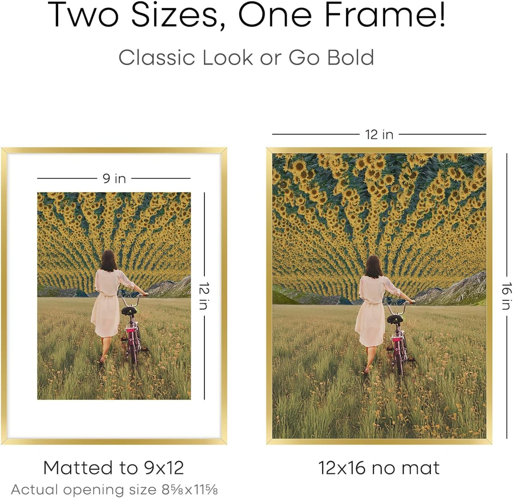 Homeforia 12x16 Picture Frame Gold, High End Metal 12x16 Poster Frames with Mat 9x12 for Photo, 12 x 16 Gold Frame Matted to 9 by 12 Print, 16x12 Thin Hanging Frame, Tempered Glass, Wall Kit, Set of 4