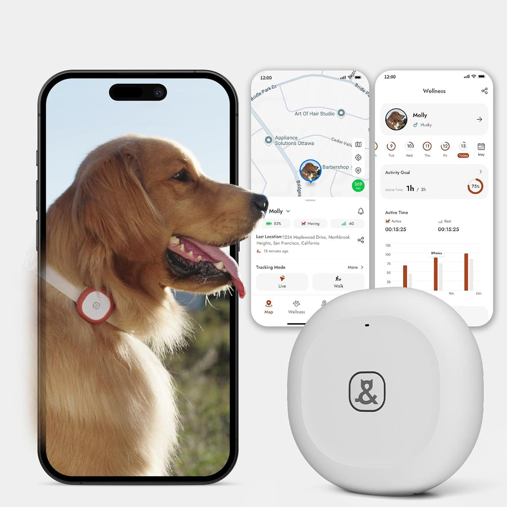 Molly&Cody GPS + Bluetooth Pet Tracker for Cats & Dogs – Real‑Time Tracking, Virtual Fence, IP67 Waterproof, Up to 60‑Day Battery, Health Monitoring, iOS/Android – Subscription Required (White)