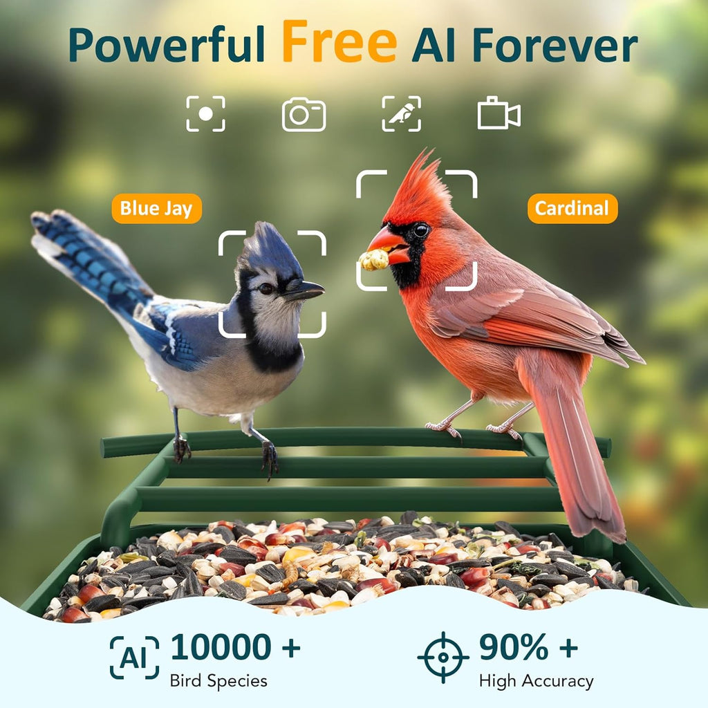 BIRDLEGEND® BL01 Bird Feeder with Camera Solar Powered, Free AI Smart Camera Bird Feeder with 64GB Card DIY Add-ons 1080P Live Auto Capture Videos Pictures, Gifts for Birdlover Mom Dad, 2.4GHz WiFi