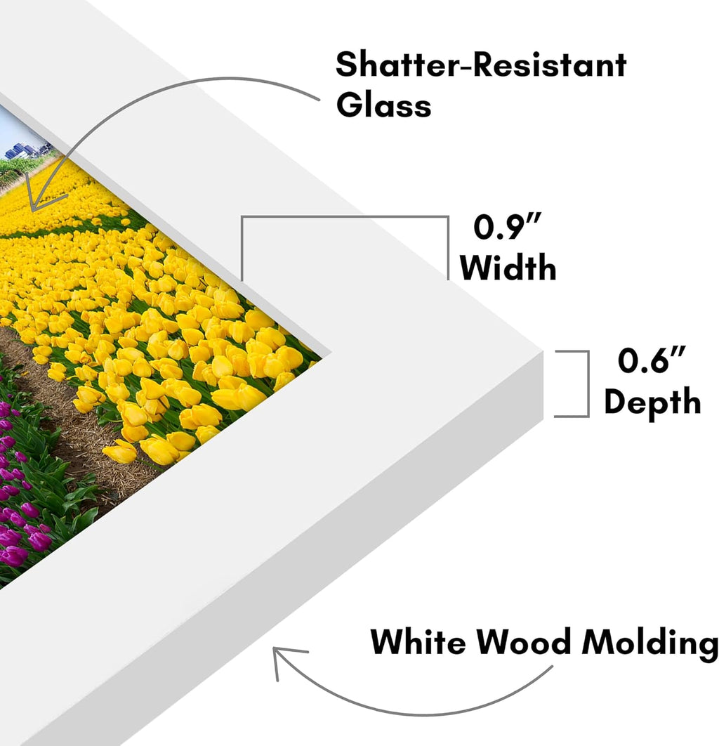 Americanflat 5x5 Picture Frame with Shatter-Resistant Glass - Signature Collection - Gallery Style Frames Made of Engineered Wood - Square Frame for Tabletop and Wall Display - White