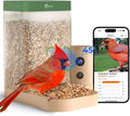 Birdfy Smart Bird Feeder with Camera for Rookie, Camera Bird Feeder Dual Night Vision, AI Recognition IP66 Waterproof for BirdLovers (Lifetime Free AI)