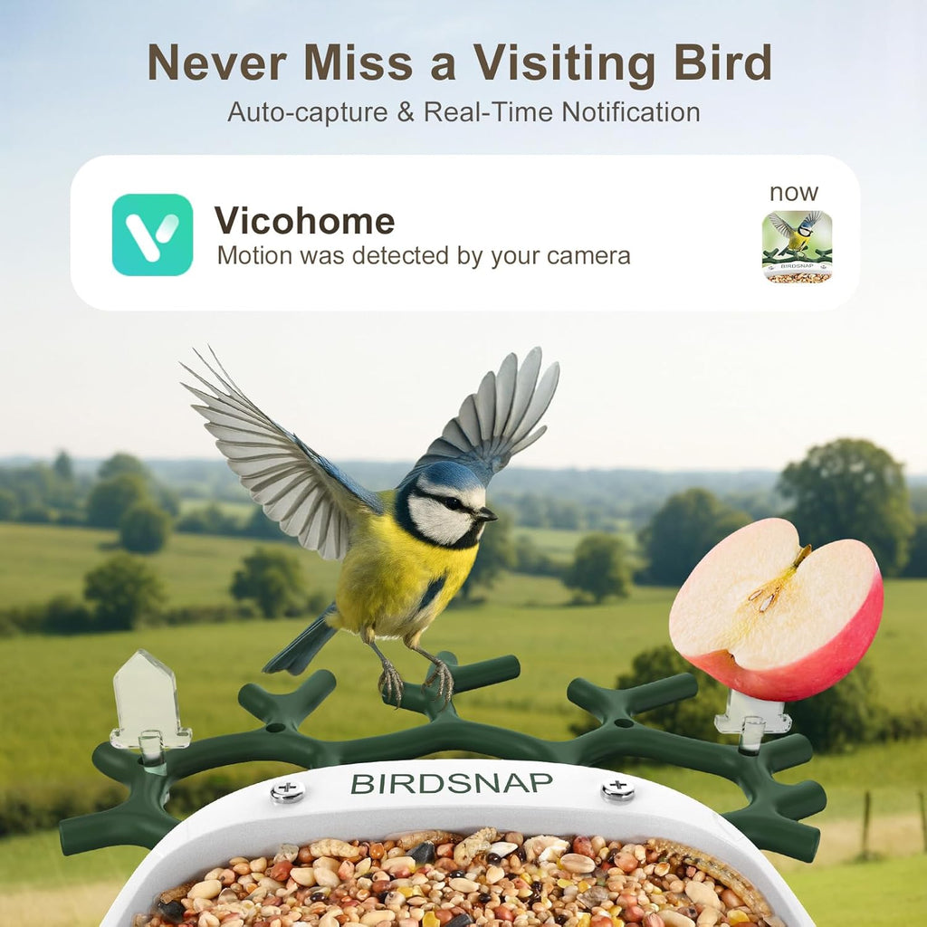 birdsnap® P33 - Smart Bird Feeder with Camera Solar Powered, 2K Video Bird Camera Feeder Live with 32GB Card, AI Identify Feather Species, Auto Record in Backyard, Ideal Gift for Birds Lover