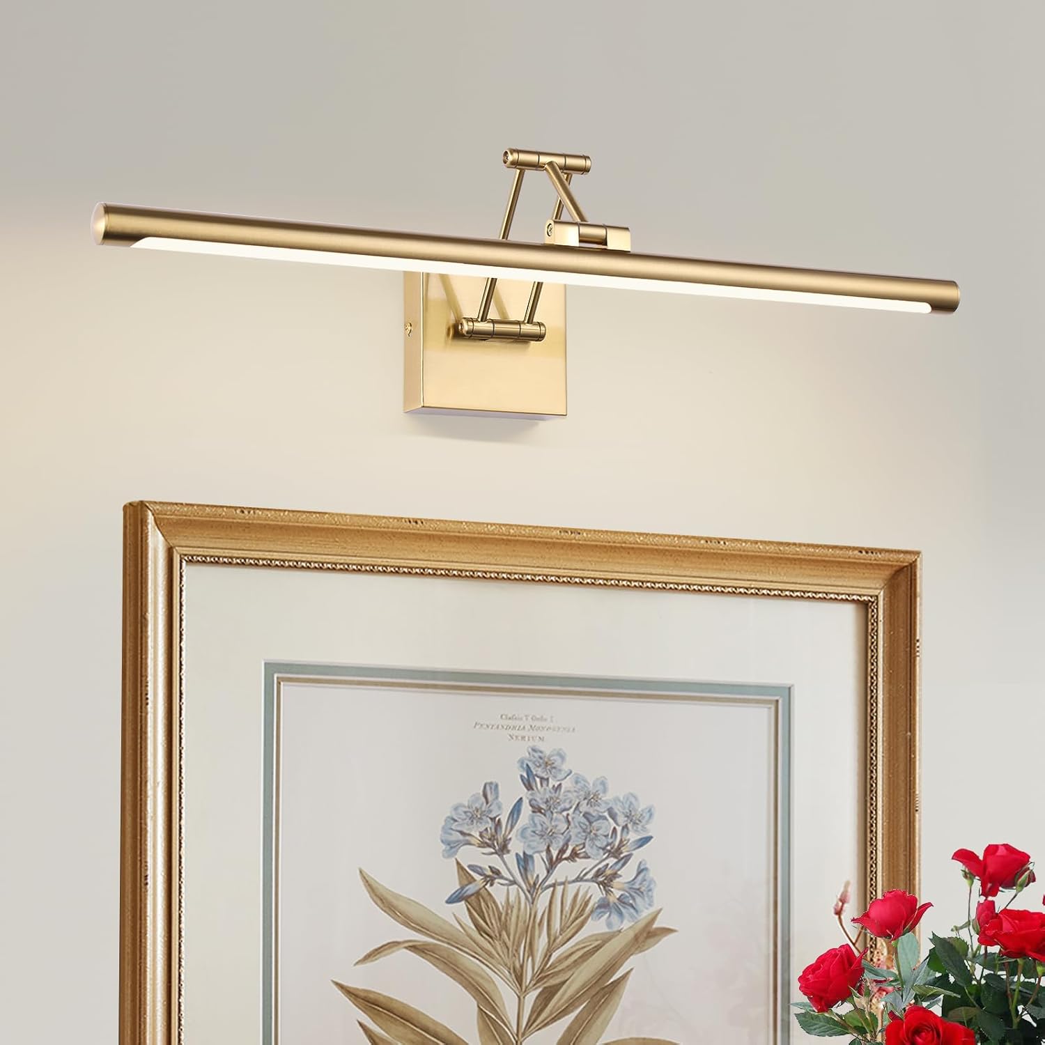 Brass Picture Light for Painting LED Gold Art Light Hard-Wired Picture Frame Lights 24 Inch Gallery Wall Light Modern Painting Lamps with Adjustable Swing Arm Display Lamp for Wall Artwork Warm White