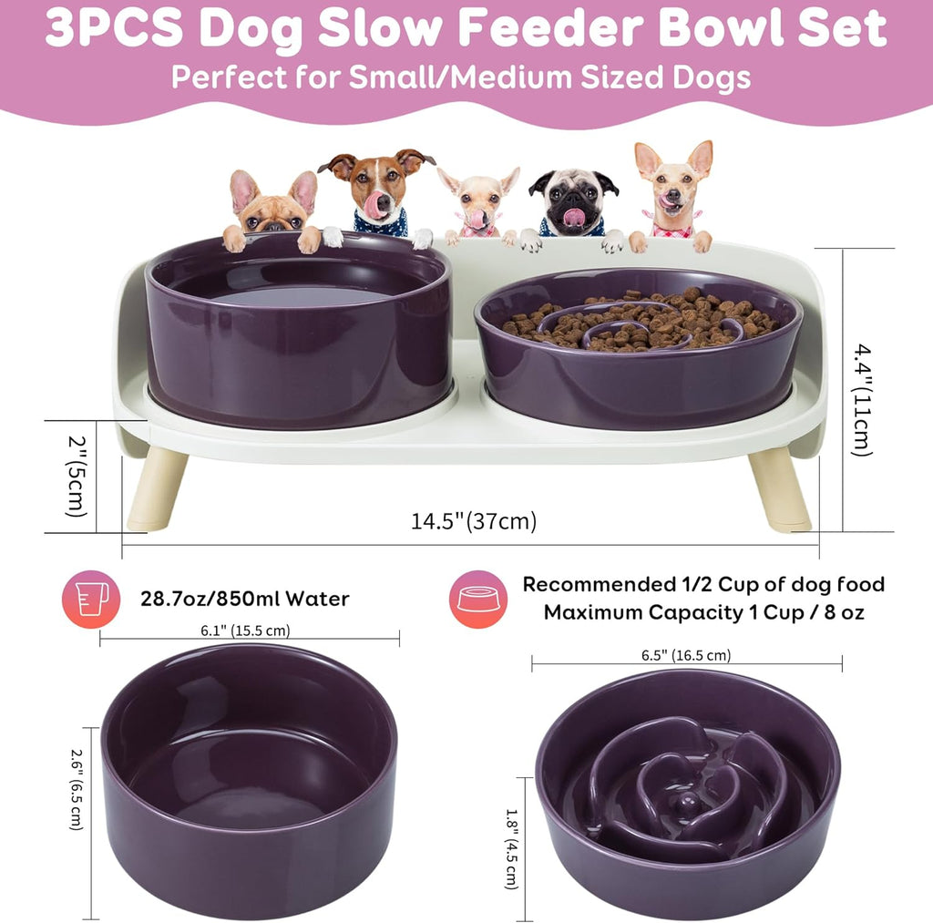 Elevated Slow Feeder Dog Bowls - Ceramic Food and Water Bowl Set with Stand - Raised Pet Dishes for Small and Medium Sized Dogs