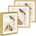6x6 Picture Frame, Brass Metal Photo Frames with HD Glass, Fits 5x5 with Mat or 6 x 6 without Mat, Display for Wall and Table, 3 Pack