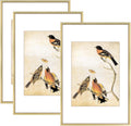 8x12 Picture Frame Set of 3, Brass Aluminum Metal Photo Frames with HD Glass, Fits 6x8 with Mat or 8 x 12 without Mat, Display for Wall