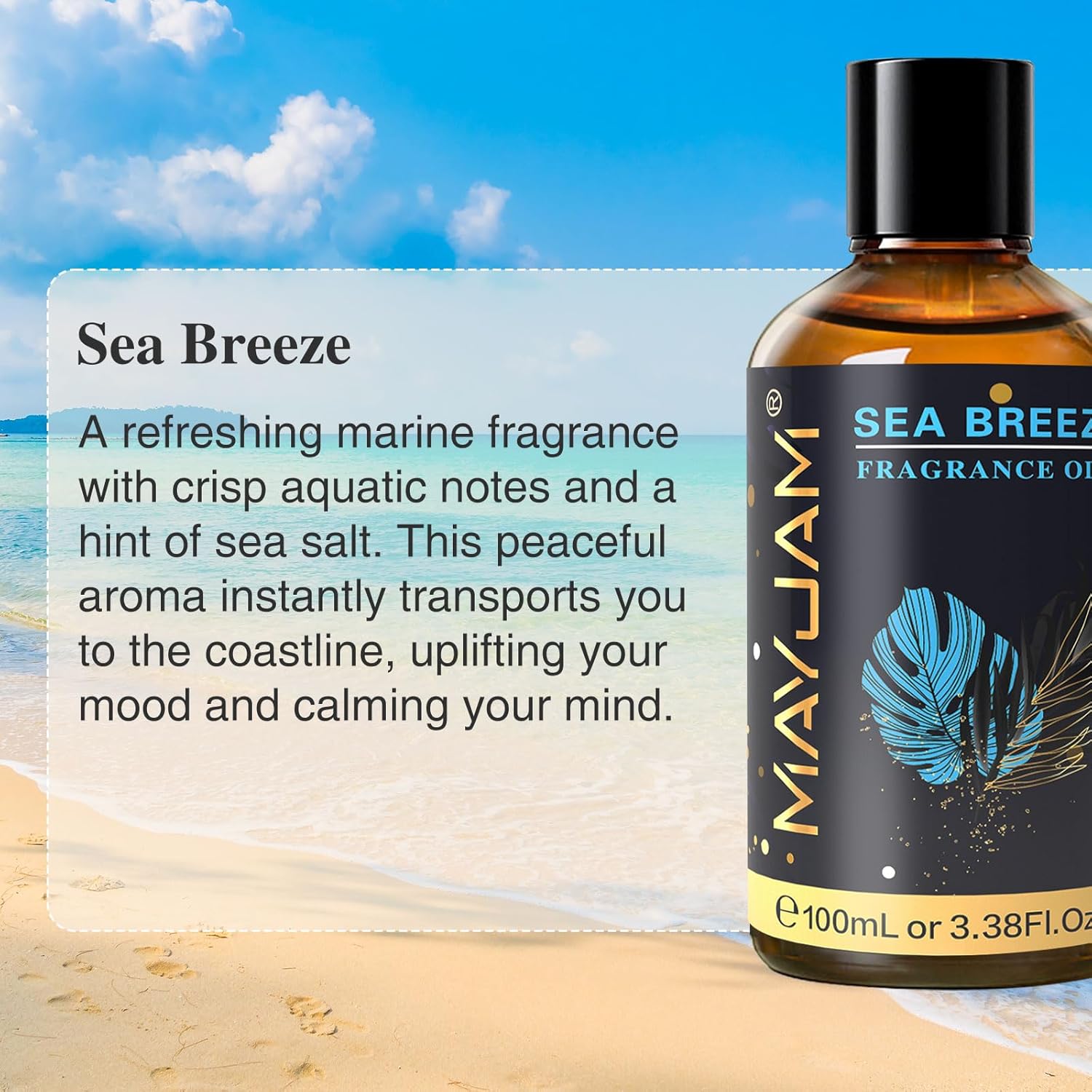 MAYJAM 100ML/3.38FL.OZ Sea Breeze Fragrance Oils with Glass Dropper, Essential Oils for Diffusers for Home, Long Lasting Scented Oils for Diffusers Soap Candle Making