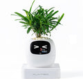 Ivy AI Smart Plant Pot with Emoji Intelligent Planter Robot for Houseplants Tamagotchi Flower Pot Stylish Plantagotchi Home Decor(Ivory)