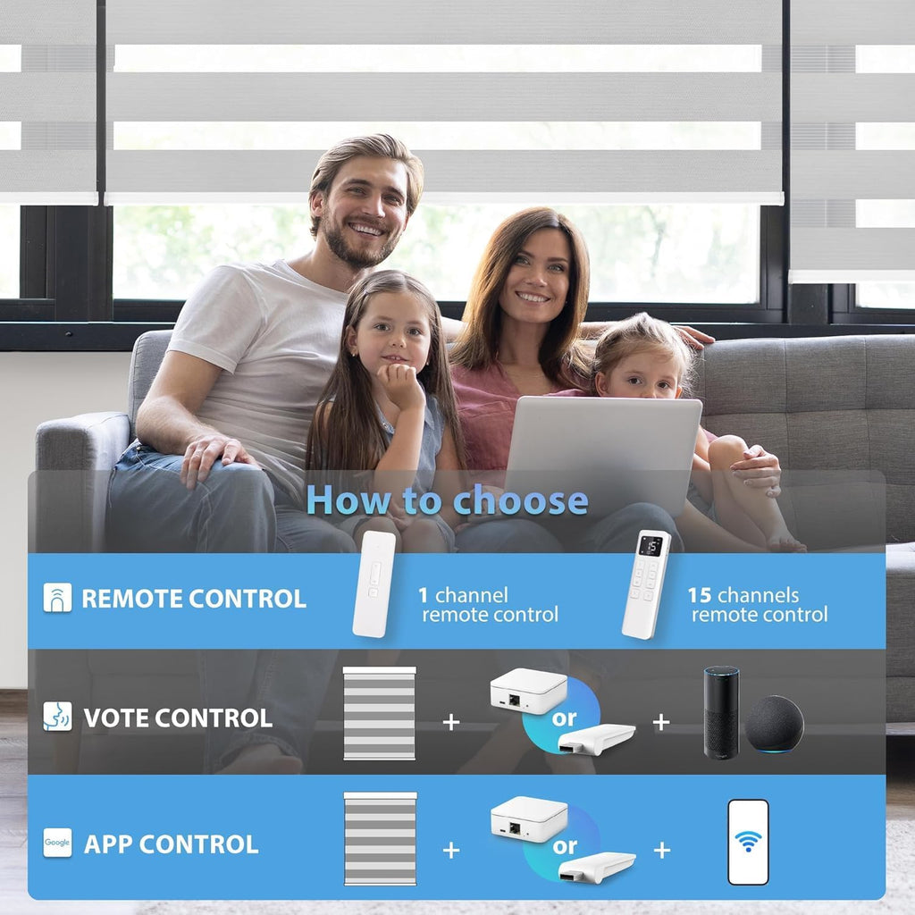 LazBlinds Motorized Zebra Roller Shades, Rechargeable Smart Blinds with Remote Control, Custom Size Light Filtering Dual Layer Roller Sheer Shades, Grey