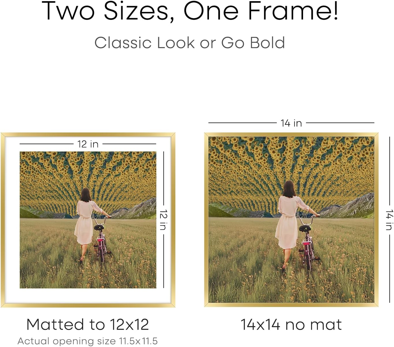 Homeforia 14x14 Picture Frame Gold, High End Metal 14 x 14 Square Poster Frame with Mat 12 x 12 Photo, 14x14 Frame Matted to 12x12 Print, 14by14 Gold Hanging Frames, Tempered Glass, Wall Kit, Set of 3