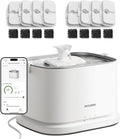 PETLIBRO Upgrade Cat Water Fountain + 8 Packs Filters, Dockstream 2 Smart App Monitoring Pet Water Fountain for Cats Indoor, 3L/101oz Cat Fountain Stainless Steel Tray for Drinking, 5G WiFi