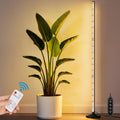 BlumWay 65 Inch Grow Lights for Indoor Plants,36W,660nm+3000K+6000K, 336 LEDs Full Spectrum LED Standing Plant Lights with 2 Timers and 10 Level Dimming Detachable Plant Growing Lamps for Greenhouse