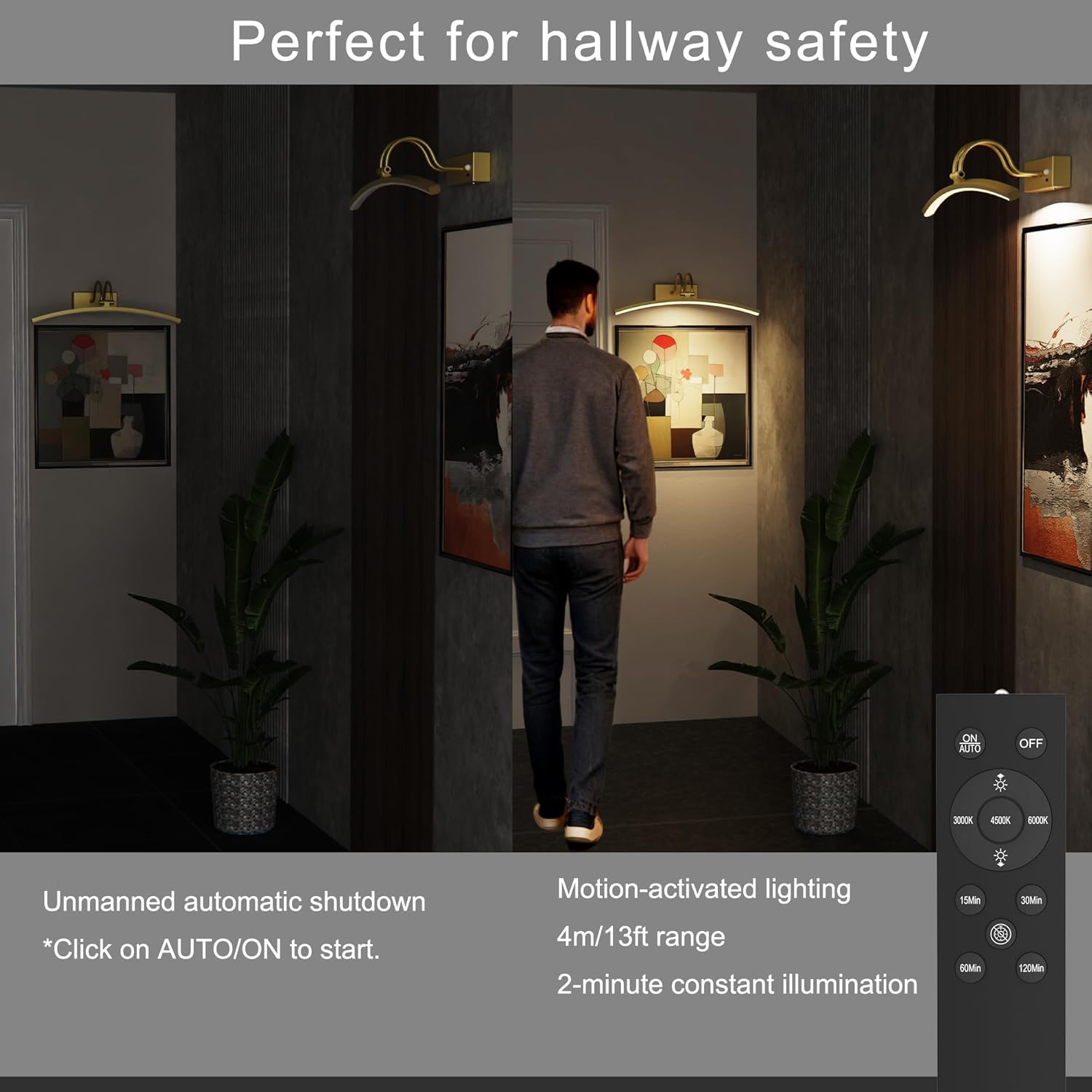 PAIHOME Picture Light for Wall Battery Operated, Rechargeable Picture Light with Smart Motion Sensor, Remote Dimmable & Timer, ‌16in Gold Wireless Art Lighting for Paintings Canvas Gallery Portraits
