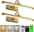 16" Art Lighting for Paintings with 1pcs Extra 6000mAh Battery - 2 Pack Wireless Dimmable Wall Mount for Paintings, Artwork, Portraits & Frames