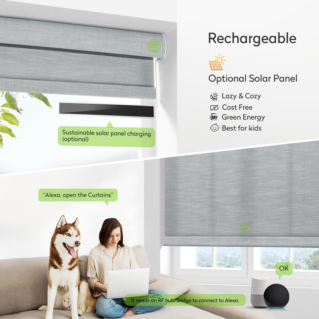 ZSTARR Motorized Light Filtering Roller Blinds with Remote Control,Rechargeable Smart Window Shades Compatible with Alexa Google via Hub,Fabric Wrapped Valance, Custom Size (Light Smoke Gray)