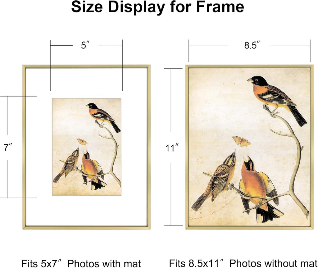 8.5x11 Picture Frame, Brass Metal Photo Frames with HD Glass, Fits 5x7 with Mat or 8.5 x 11 without Mat, Display for Wall and Table, 1 Pack