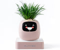 Ivy AI Smart Plant Pot with Emoji Intelligent Planter Robot for Houseplants Tamagotchi Flower Pot Stylish Plantagotchi Home Decor(Blush)