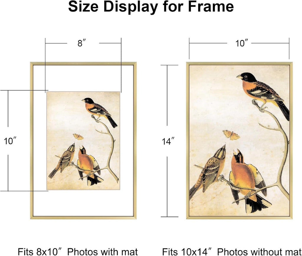 10x14 Picture Frame, Brass Aluminum Metal Photo Frames with HD Glass, Fits 8x10 with Mat or 10 x 14 without Mat, Display for Wall, 1 Pack