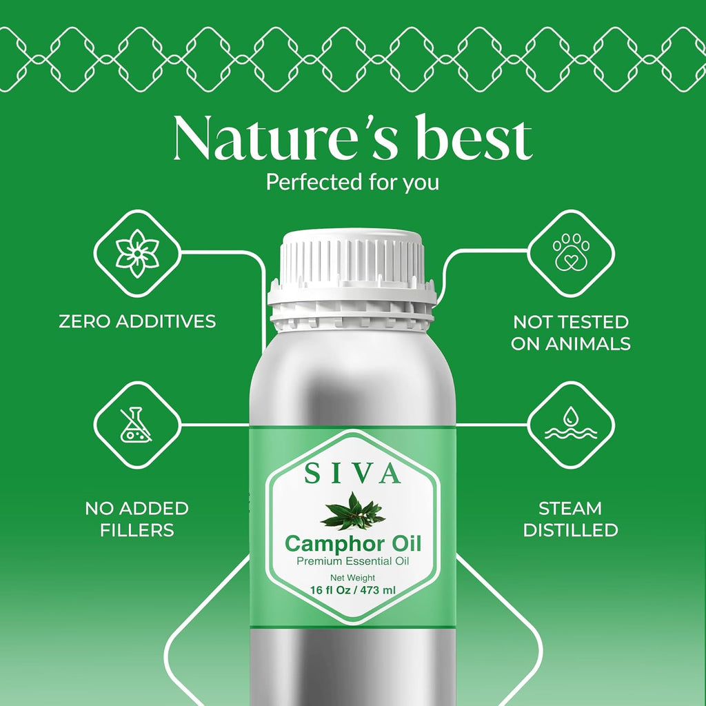 Siva Camphor Essential Oil - 16 Fl Oz – 100% Natural Camphor Oil - for Diffuser, Face, Skin Care, Aromatherapy, Hair Care, Scalp and Body Massage