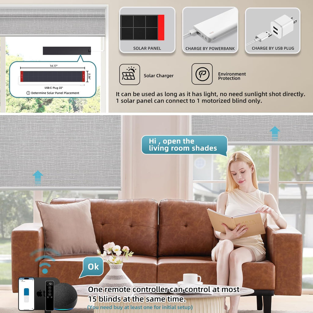 SmartWings Motorized 100% Blackout Shades Blinds, Custom Size, Cordless Window Shades with Rechargeable Battery, Works with Matter/Apple HomeKit, Alexa, Thread/Zigbee, Remote Optional, Safar Smoke