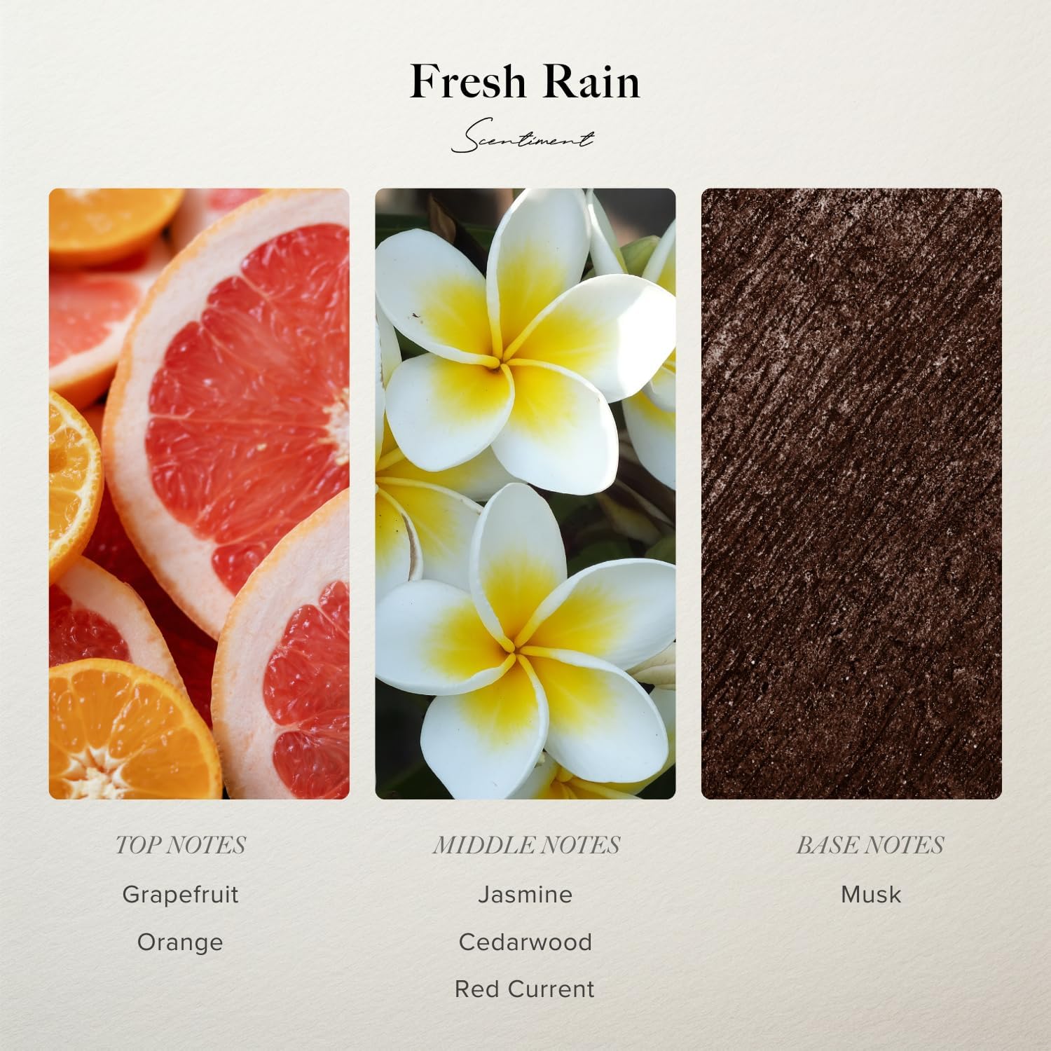 Scentiment Diffuser Oil - Fresh Rain | Aromatherapy Home Fragrance |Inspired by Marriott® Hotels | Luxurious Scent with Notes of Fresh Grapefruit and Crisp Red Currant (20 mL)