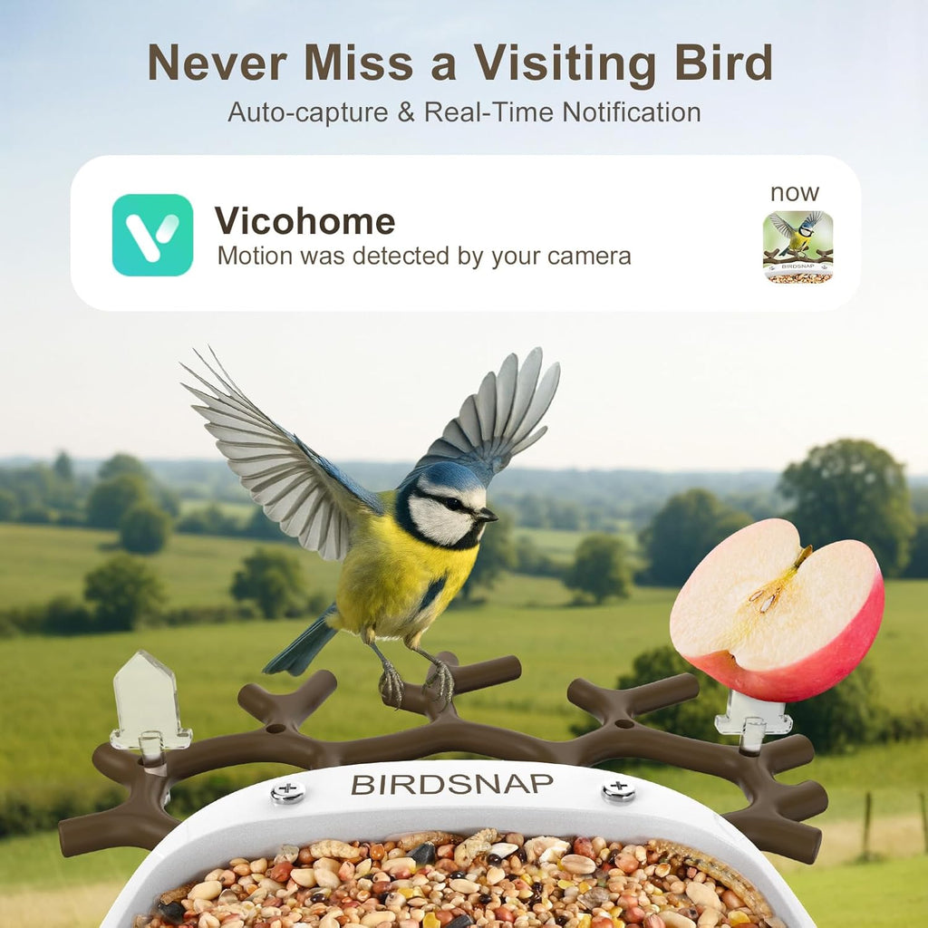 birdsnap® P33 - Smart Bird Feeder with Camera Solar Powered, 2K Video Bird Camera Feeder Live with 32GB Card, AI Identify Feather Species, Auto Record in Backyard, Ideal Gift for Birds Lover