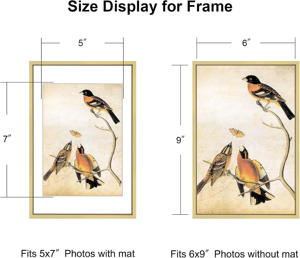 6x9 Picture Frame, Brass Aluminum Metal Photo Frames with HD Glass, Fits 5x7 with Mat or 6 x 9 without Mat, Display for Wall and Table
