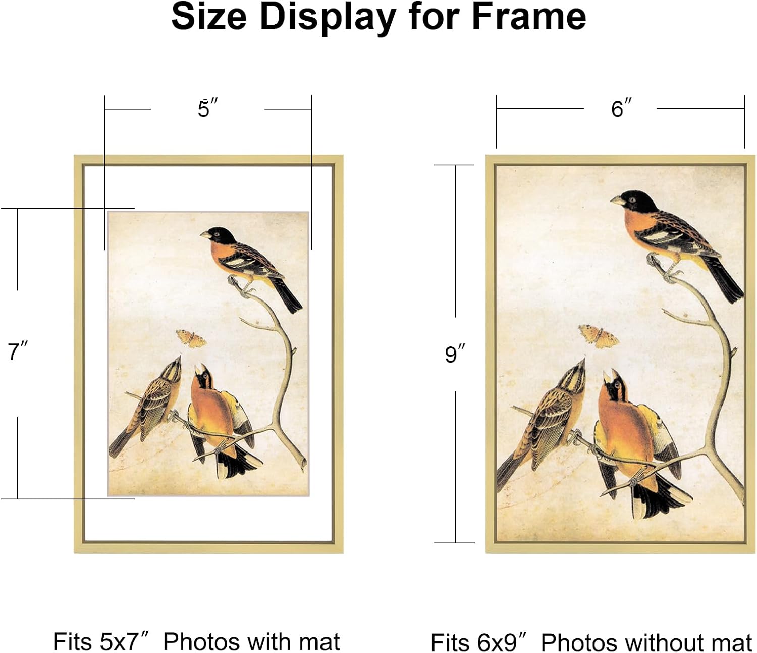 6x9 Picture Frame, Brass Aluminum Metal Photo Frames with HD Glass, Fits 5x7 with Mat or 6 x 9 without Mat, Display for Wall and Table