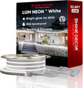 Shine Decor LED Neon Rope Lights AC 120V, Expandable & Cuttable 120LEDs/M Bright Strip Lighting, ETL Cold-Resistant & IP65 Waterproof for Indoor Outdoor, 8x16mm, 6300K Cool White, 32.8ft