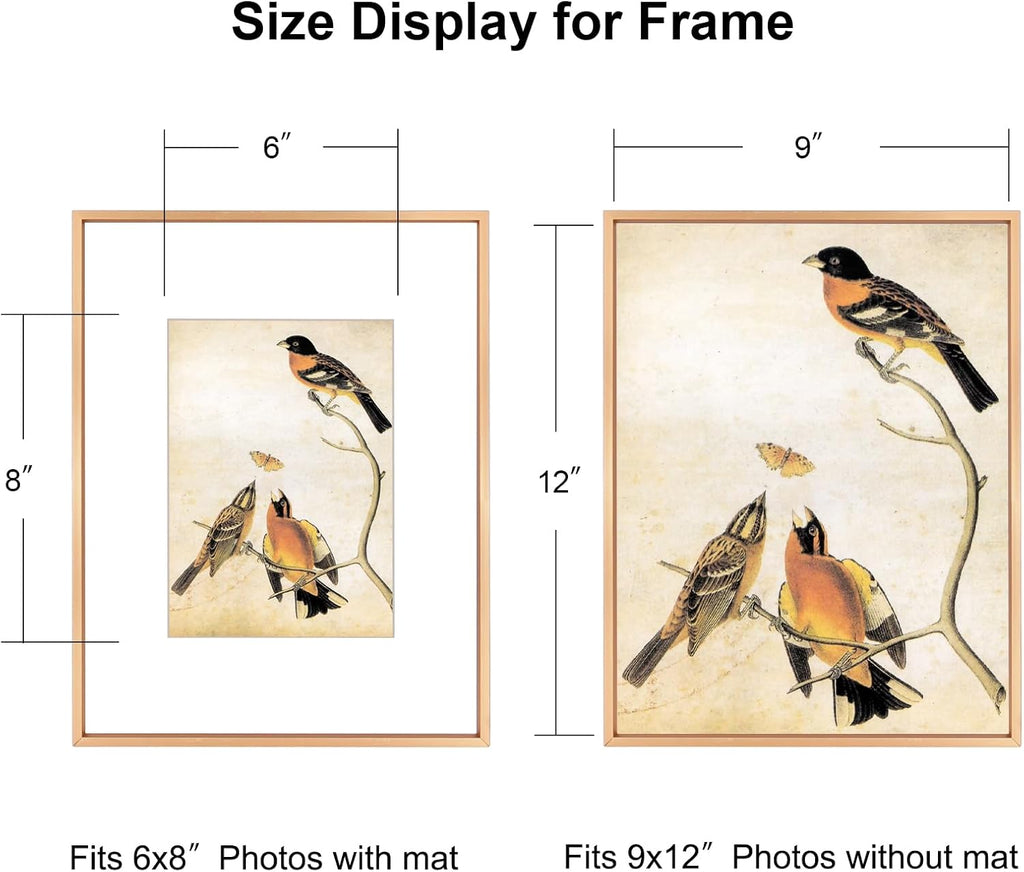 9x12 Picture Frame, Gold Metal Photo Frames with HD Glass, Fits 6x8 with Mat or 9 x 12 without Mat, Display for Wall and Table, 1 Pack