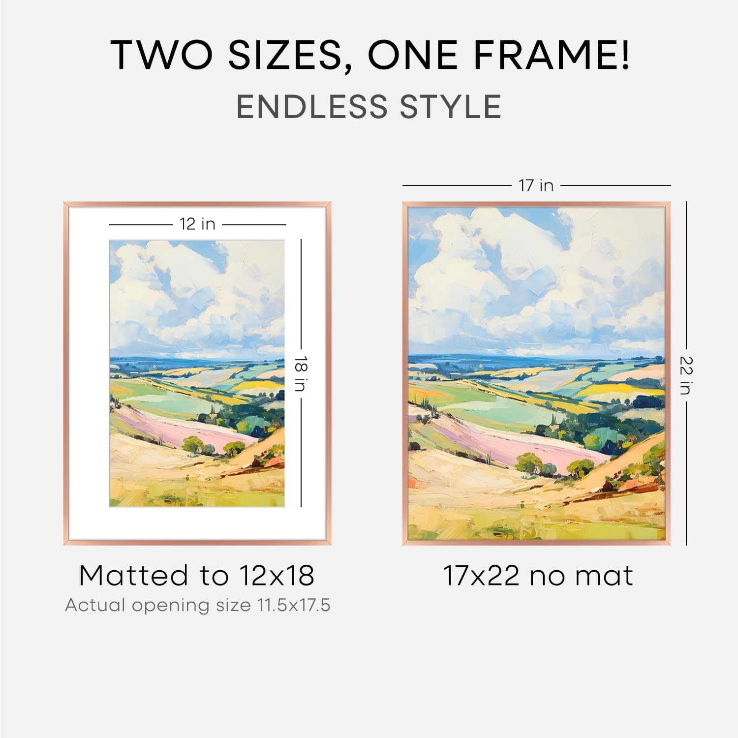 Homeforia 17x22 Picture Frame Silver, High End Metal 17x22 Frames with Mat 12x18 for Photo, 17 x 22 Silver Poster Frame Matted to 12 x 18 Print, 22x17 Hanging Frame, Tempered Glass, Wall Kit, Set of 1