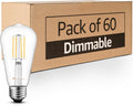 Mastery Mart 60 Pack Vintage LED Light Bulb 5000K Daylight White, Dimmable, 5.5W (60 Watt Equivalent), ST19/ ST58 Clear Glass Antique Edison Style, 500LM E26 Decorative Filament Bulb