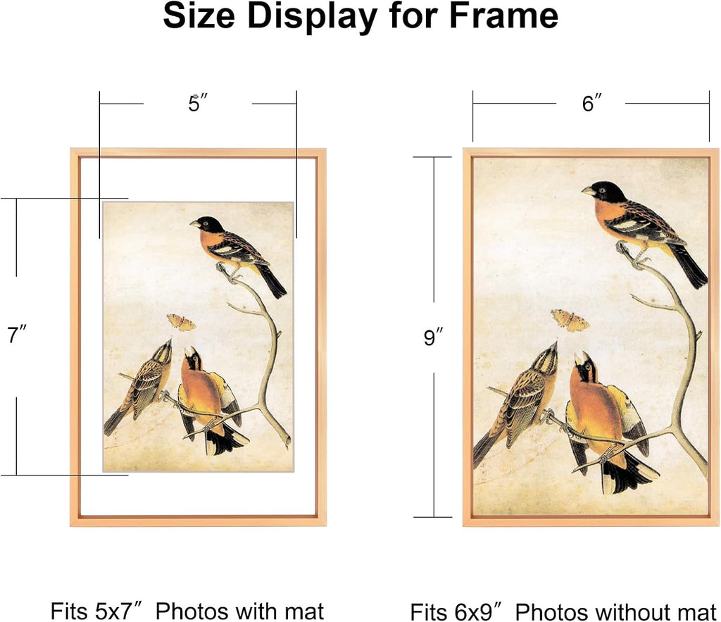 6x9 Picture Frame, Gold Aluminum Metal Photo Frames with HD Glass, Fits 5x7 with Mat or 6 x 9 without Mat, Display for Wall and Table