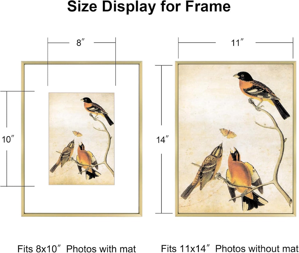 11x14 Picture Frame, Brass Metal Photo Frames with HD Glass, Fits 8x10 with Mat or 11 x 14 without Mat, Display for Wall and Table, 1 Pack